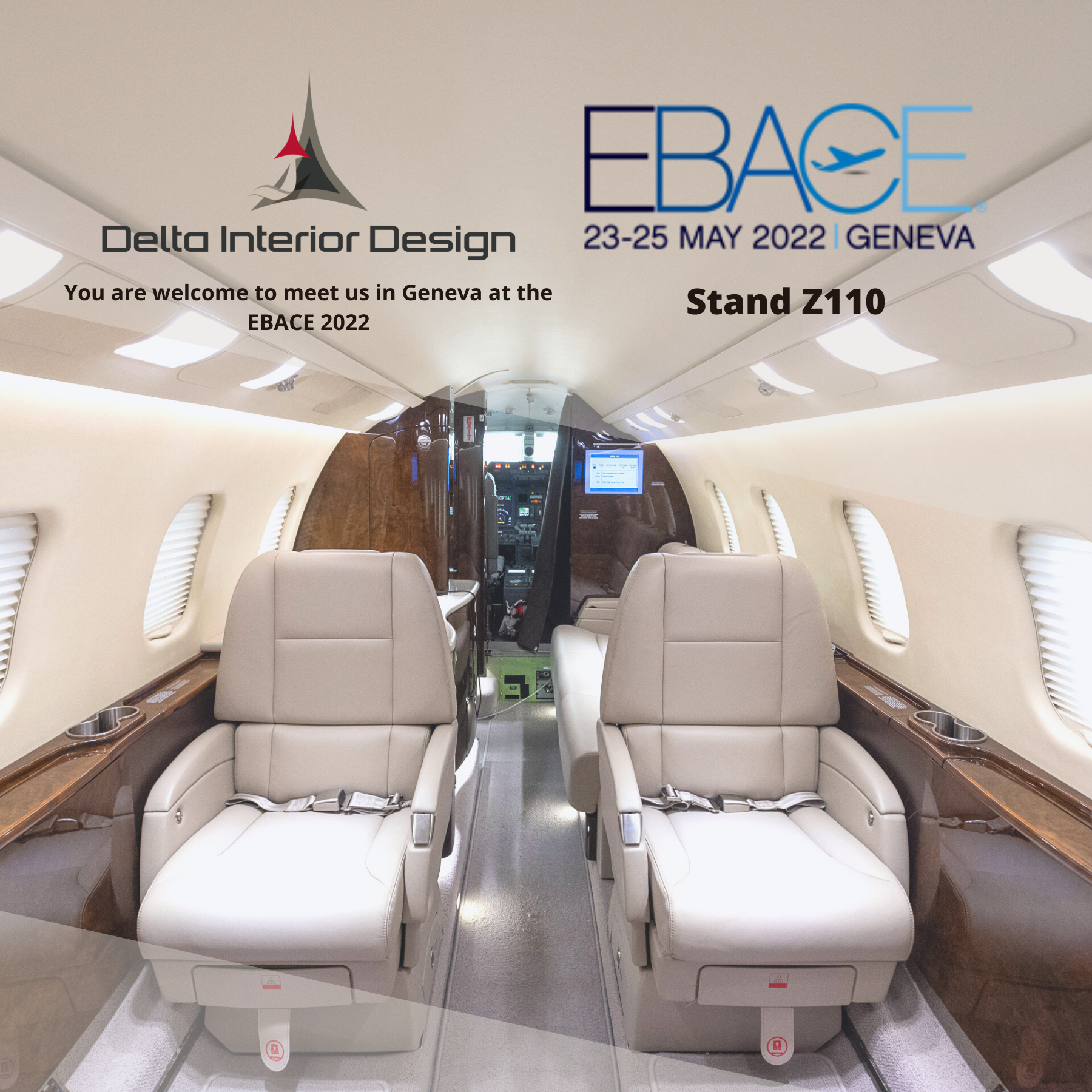 delta Interior ebace